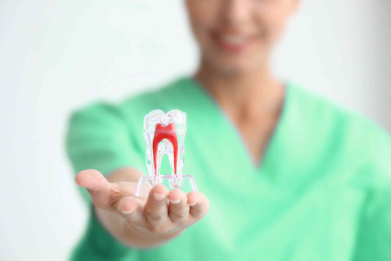 https://www.dantechdentallab.com/wp-content/uploads/2020/01/post-14-1280x854.jpg